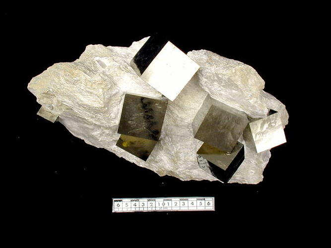 Pyrite. [M 43895]