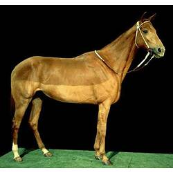 Large brown race horse.