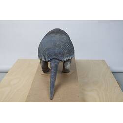 <em>Priodontes maximus</em>, Giant Armadillo. [C 30364]