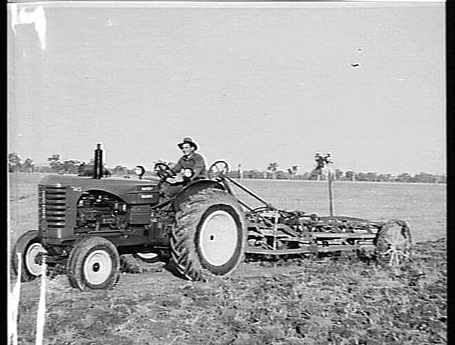 745 D & 16-TYNE `SUNDUKE' ON FARM OF H.W. TAYLOR, HENTY, N.S.W.: AUG 1955