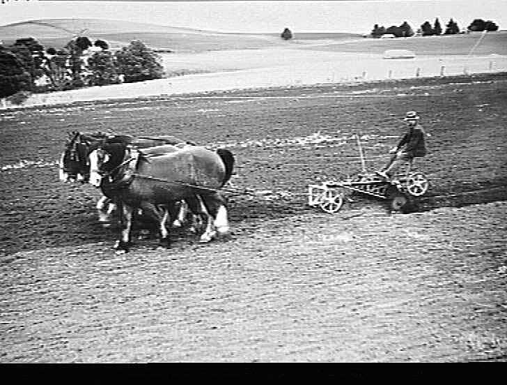 Photograph H.V. McKay Massey Harris, Farm Equipment Manufacture