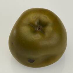 Wax model of green apple.