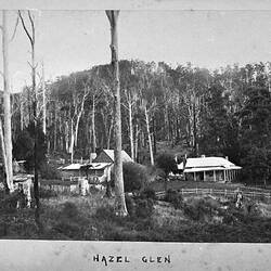 Photograph - by A.J. Campbell, Hazel Glen, Dandenong Ranges, Victoria, circa 1890