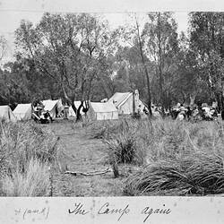 Photograph - 'The Camp Again', by A.J. Campbell, Barry's Range, Victoria, 1902