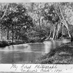 Photograph - 'My First Photograph, Gardiner's Creek', by A.J. Campbell, Melbourne, Victoria, 1891