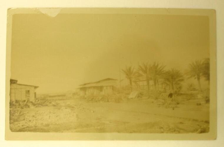 Railway buildings and palm trees.