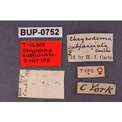 Entomology type specimen labels.