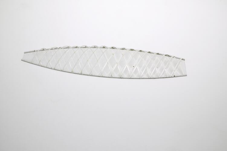 Model - Fish Shape, Plastic Strip Lattice