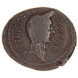 Coin - Denarius, Julius Caesar, Ancient Roman Republic, 44 BC