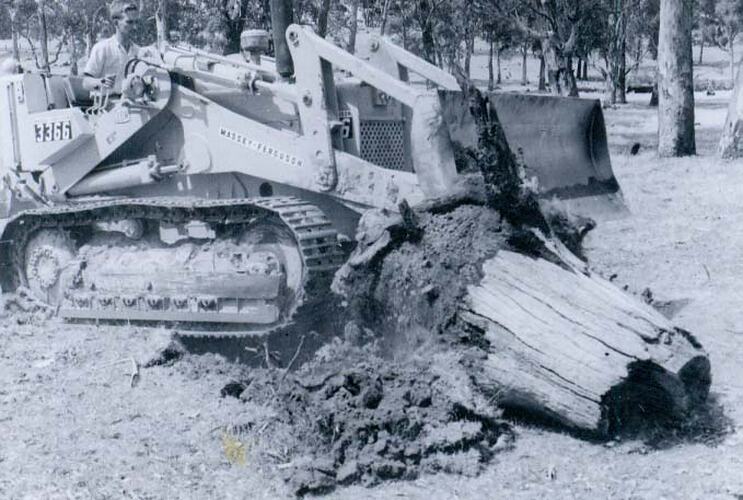 Man driving a crawler tractor fitted with a dozer blade, removing a large tree stump.