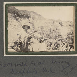 Photograph - Soldier With Foal, Shell Green, Gallipoli, Türkiye (formerly Turkey), Trooper George Simpson Millar, World War I, 1915
