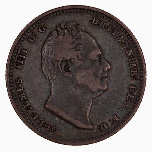 Coin - Shilling, William IV, Great Britain, 1836 (Obverse)