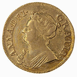 Coin - Guinea, Queen Anne, Great Britain, 1713 (Obverse)
