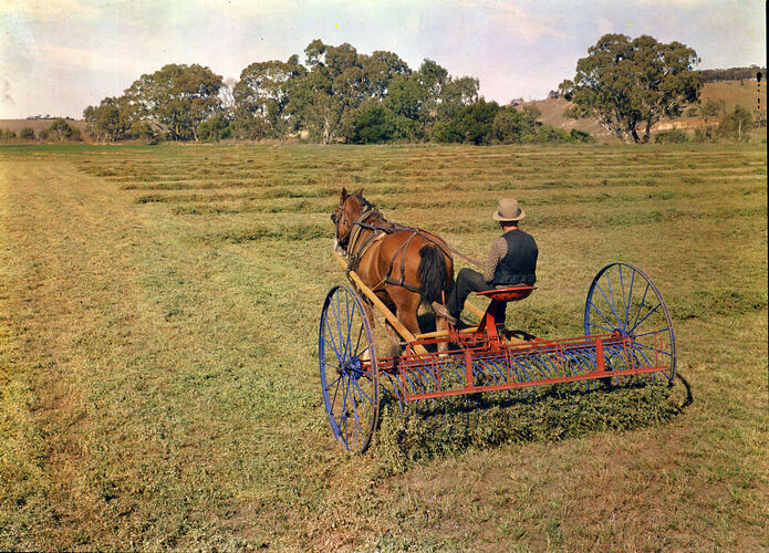 Horsedrawn Lucerne Rake, Bacchus Marsh