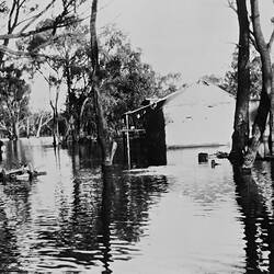 Negative - Chalka Creek, Victoria, 1931
