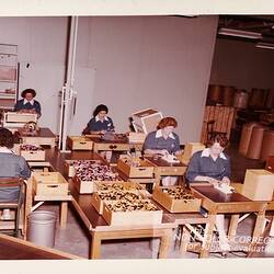 Photograph - Kodak, Women at Desks