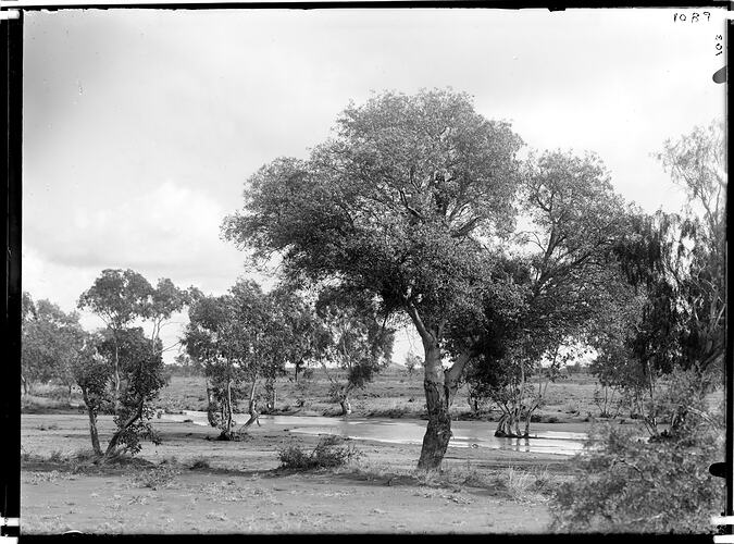 Glass plate, Barrow Creek, Central Australia, Northern Territory, Australia, Jun 1901-Jul 1901