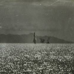 Three explosions in the background on the ocean, land in background.
