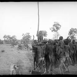 Glass plate. Warumungu. Tennant Creek, Central Australia, Northern Territory, Australia. /07/1901 - /09/1901