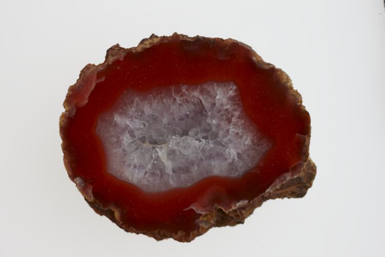 Agate slice with qhite crystallien centre and red bands around edge.