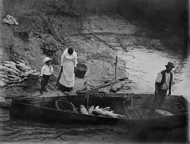 Man stands in a long boat that is full of fish. Boy and woman stand on riverbank with stacked fish, pail and b