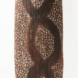 Warumungu shield, Flying fox dreaming design, Tennant Creek, Central Australia, early 1900s.