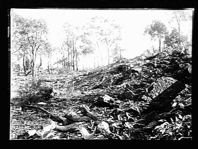 Hillside with rocks and trees.