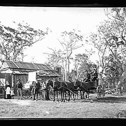 Glass Negative - Horse-drawn Carts, by A.J. Campbell, Australia, circa 1900