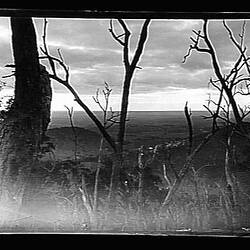 Glass Negative - Landscape, by A.J. Campbell, Dandenong Ranges, Victoria, Jun 1895
