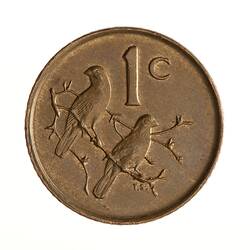 Coin - 1 Cent, South Africa, 1982