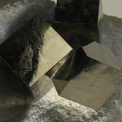 Cubic gold-coloured pyrite crystals on a cream rock.