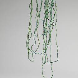 Ornament, neck, Papua New Guinea