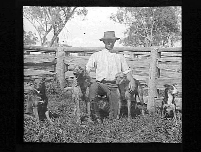 Lantern Slide - Man with Dogs