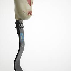 Prosthetic lower leg with white plastic top and curved metal lower section. Three-quarter view.