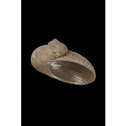 <em>Granata imbricata</em>, Imbricated False Ear Shell, shell.  Registration no. F 179993.