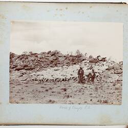 Photograph Album - Boer War, circa 1902