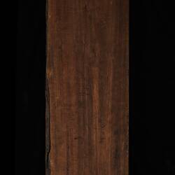 Timber Sample - Silver Wattle, Acacia dealbata, Victoria, 1885