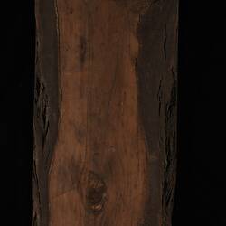 Timber Sample - Scrub Cypress Pine, Callitris verrucosa, Victoria, 1885