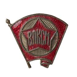 Badge -  Komsomol, Union of Soviet Socialist Republics, pre 1984