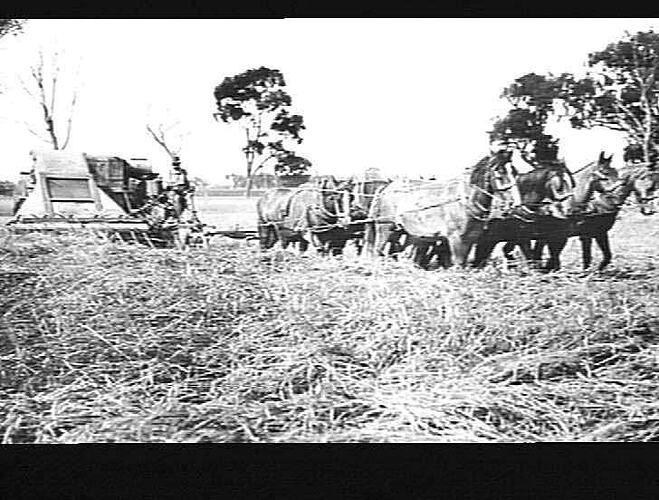 Photograph - Sunshine Harvester Works, Farm Equipment Manufacture ...