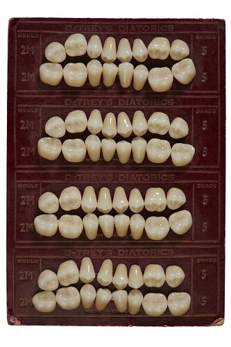 Four sets of white teeth on maroon card with gold text. Each set has two rows of eight.