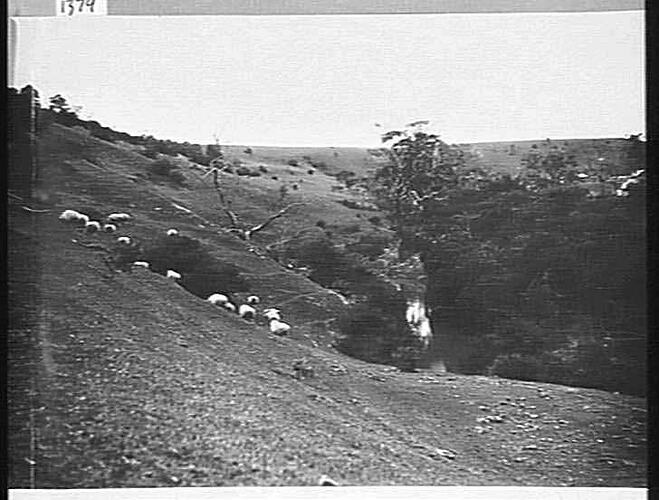 `RUPERTSWOOD': OCT 1926