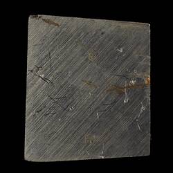 Corowa Meteorite. [E 3095]