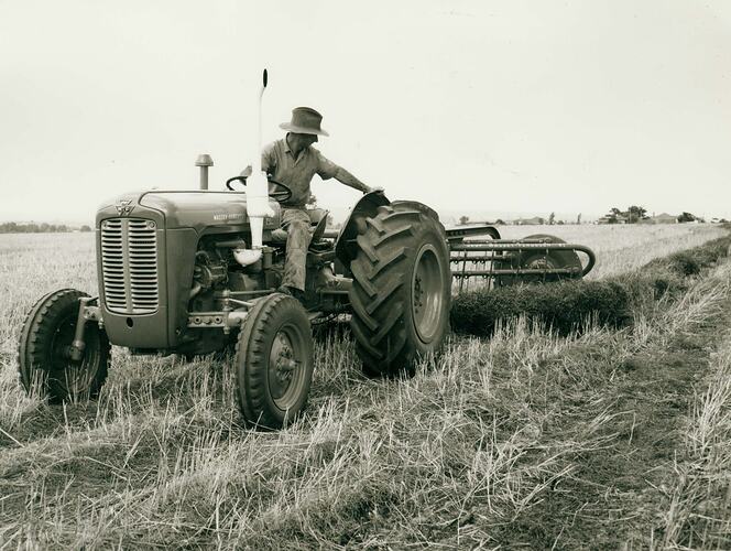 Man driving a tractor towing a side delivery hay rake in a field of cut hay.