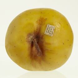 Yellow apple with brown spots model. Top view with stem and label.