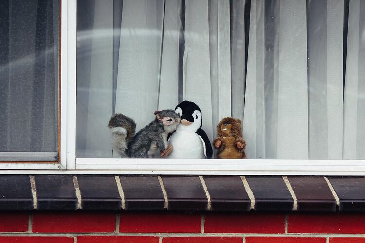 Three soft toys placed in window.