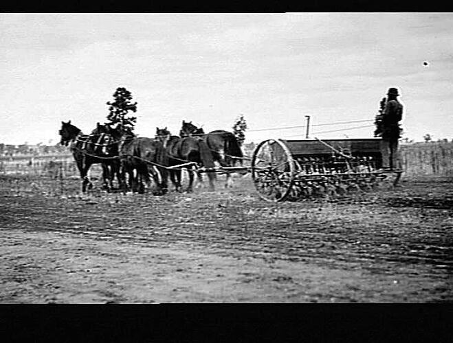 MR. THOMAS A COUTTS, `ENNISKILLON', BAGDAD NEAR TEMORA: JUNE 1922