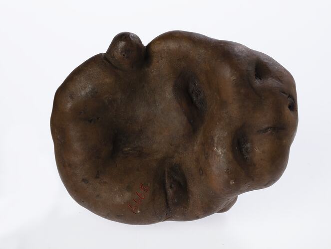 Irregularly shaped brown model of a potato.