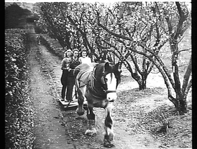 PHOTO TAKEN AT BURNLEY AGRICULTURAL COLLEGE: JULY 1946