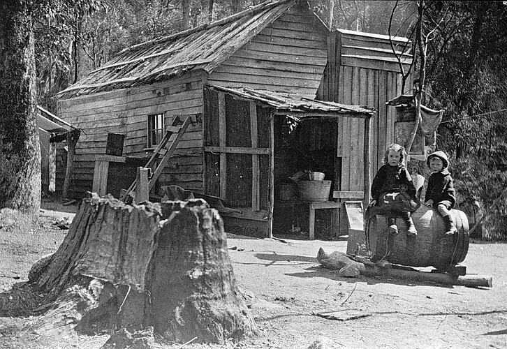 [A roadmakers hut, Mount Buffalo, 1910.]
